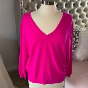 J Crew Cashmere V-Neck Women's Sweater NWOT